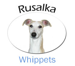 Rusalka Whippets Logo